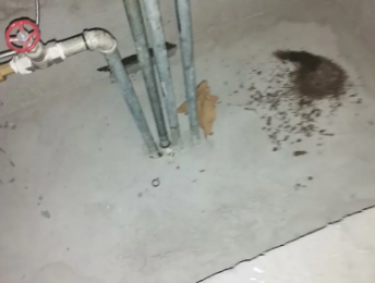 峨边卫生间测漏水价格明细