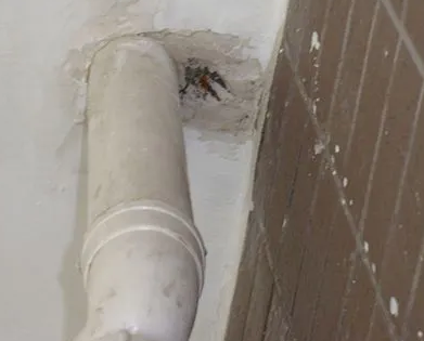 峨边漏水检测哪家好